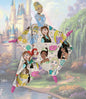 Once Upon A Dream Cinderella Lovey